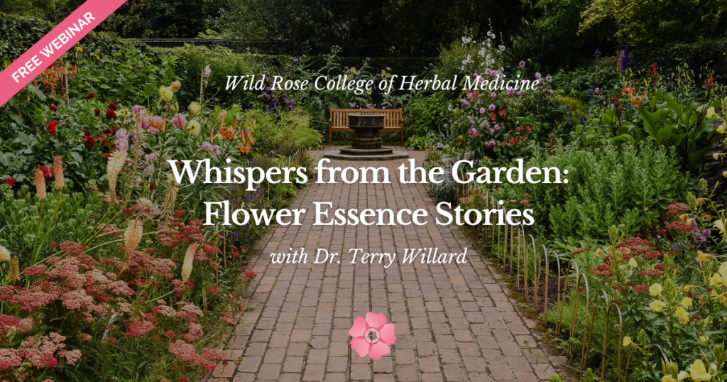 Whispers from the Garden: Flower Essence Stories - Discover Wildrose ...