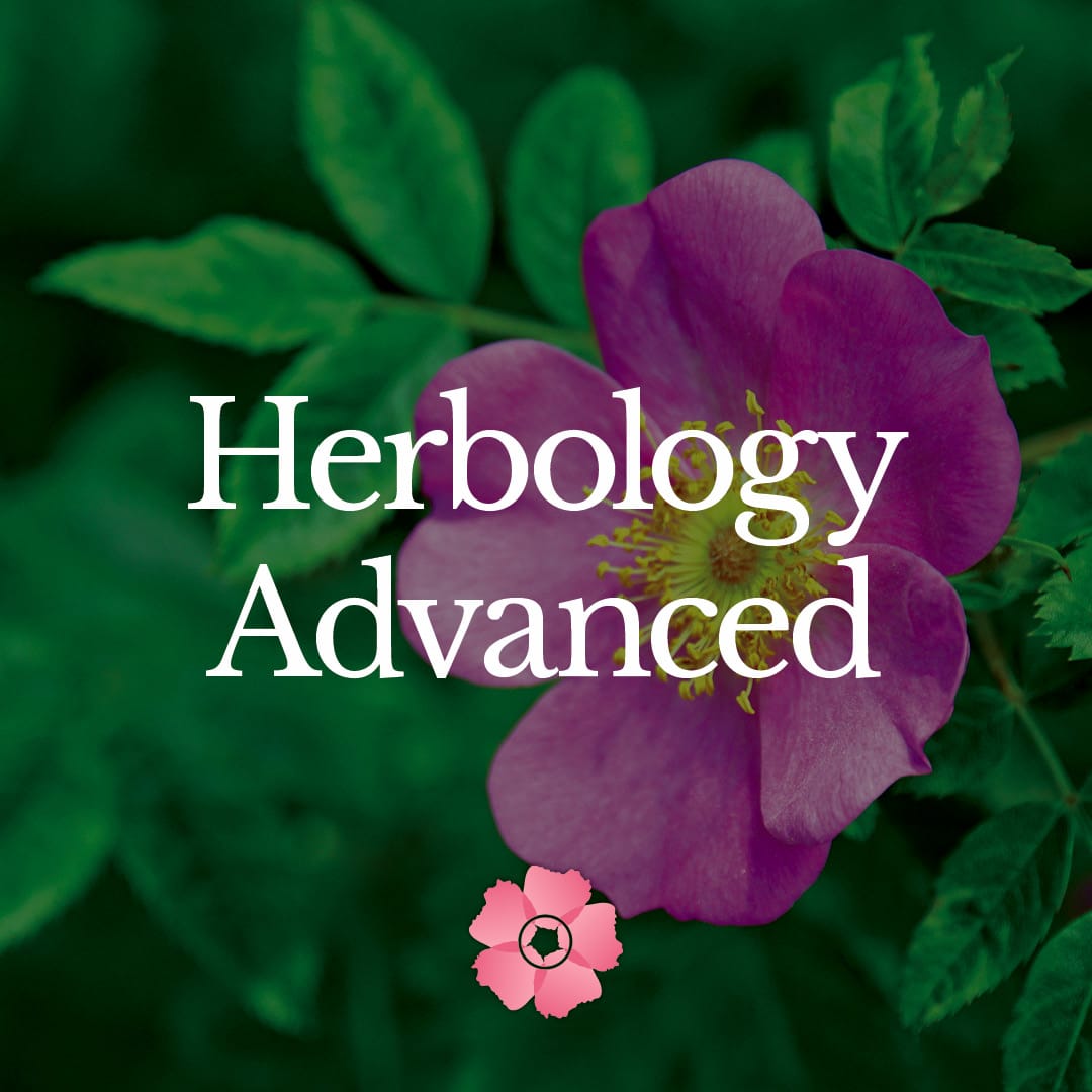 Herbology 101 – Unlimited Access – Audit – V2
