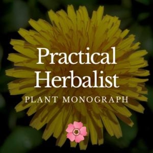 Practical Herbalist Plant Monograph V2
