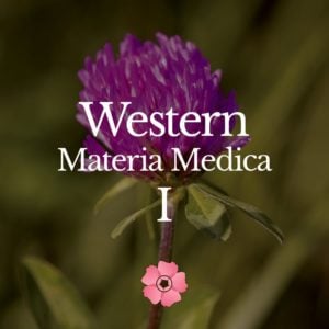 Western Materia Medica I