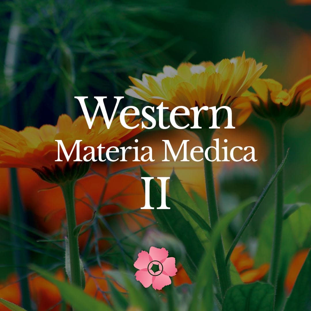 Western Materia Medica I