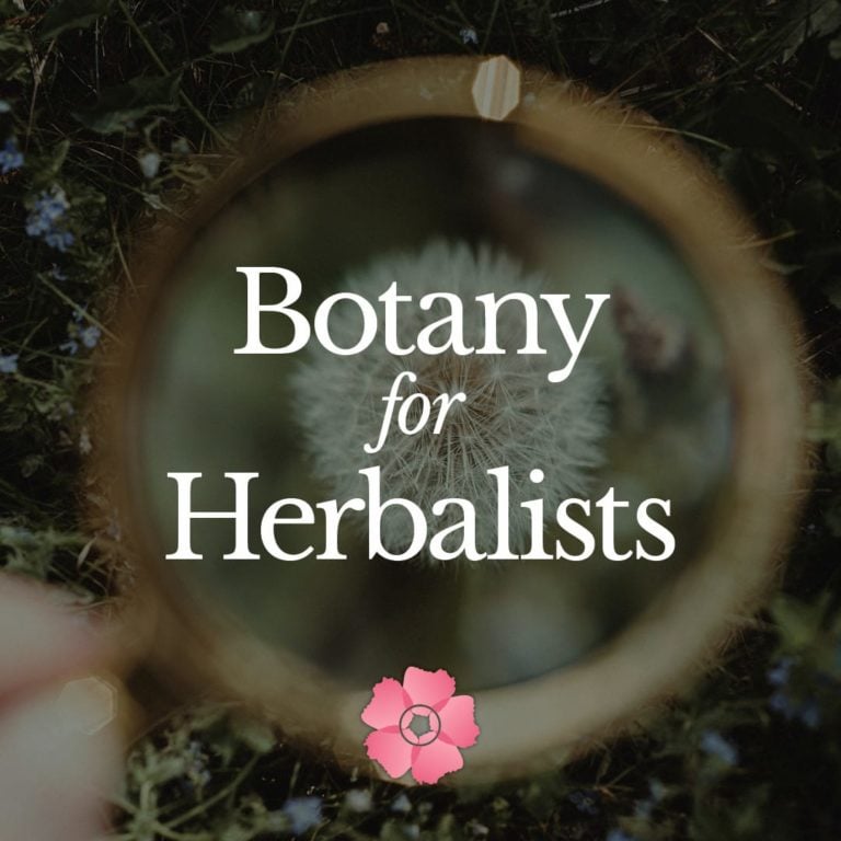 Botany for Herbalists - Wild Rose College of Herbal Medicine