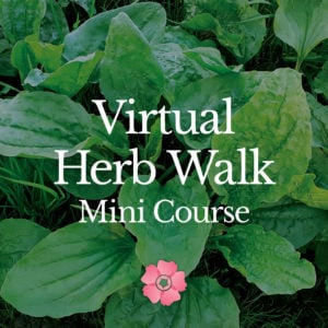 Virtual Herb Walk Mini Course