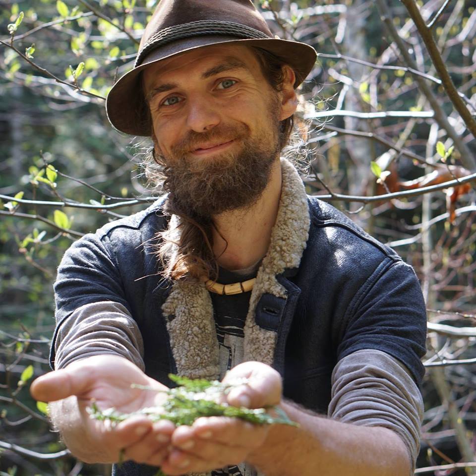 Yarrow holding plants