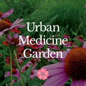 Urban Medicine Garden