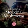 Intro to Medicinal Mushrooms - July 2022 - StyleA alt - 3