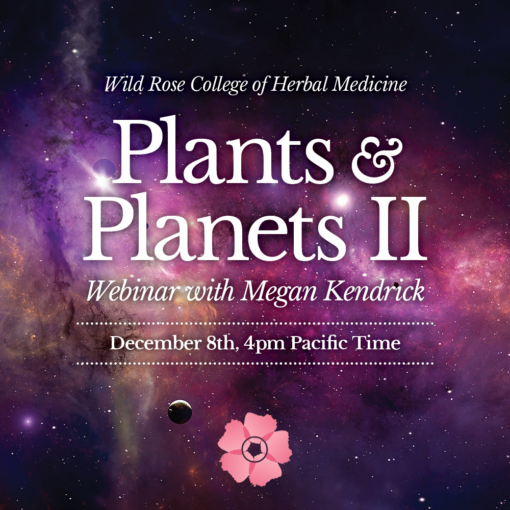 Plants-Planets-II-Square-1