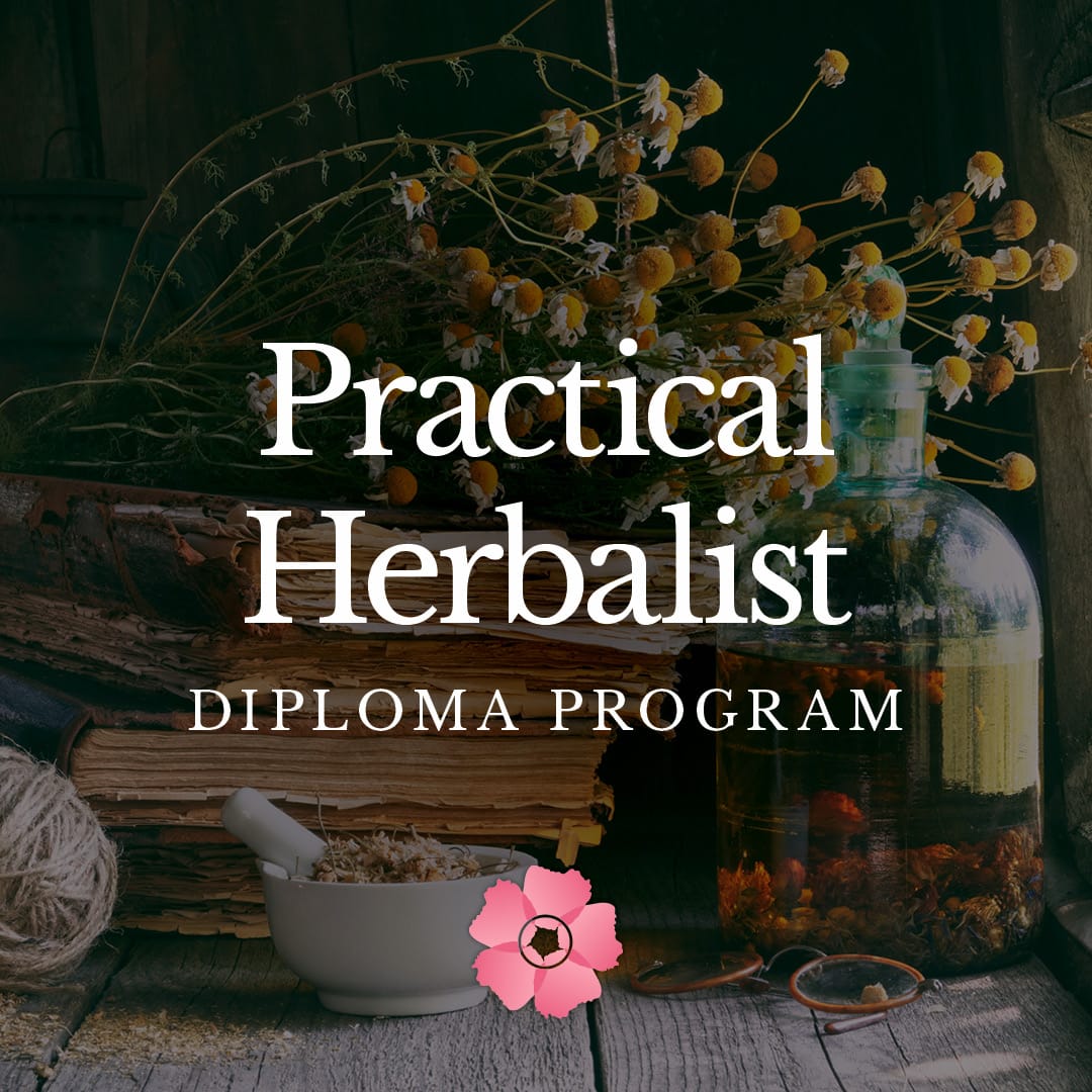 Practical Herbalist Diploma Program