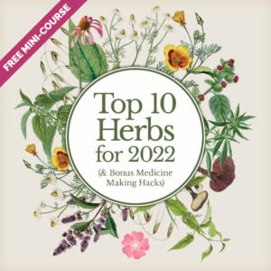 Top 10 Herbs for 2022