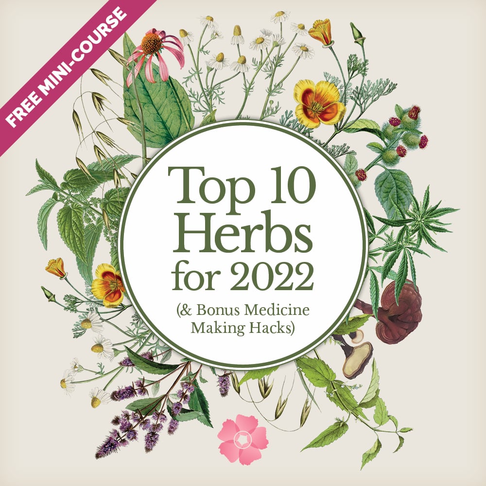 Top-10-Herbs-for-2022-Pop-up