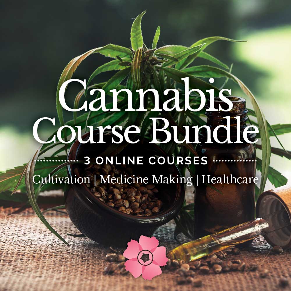 Cannabis-Course-Bundle-F-3-web
