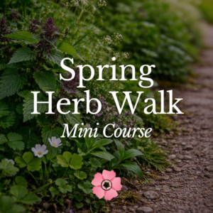 Spring Herb Walk