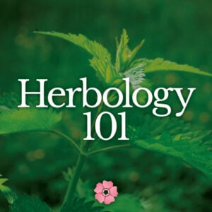 Herbology 101 – Unlimited Access – Audit – V2