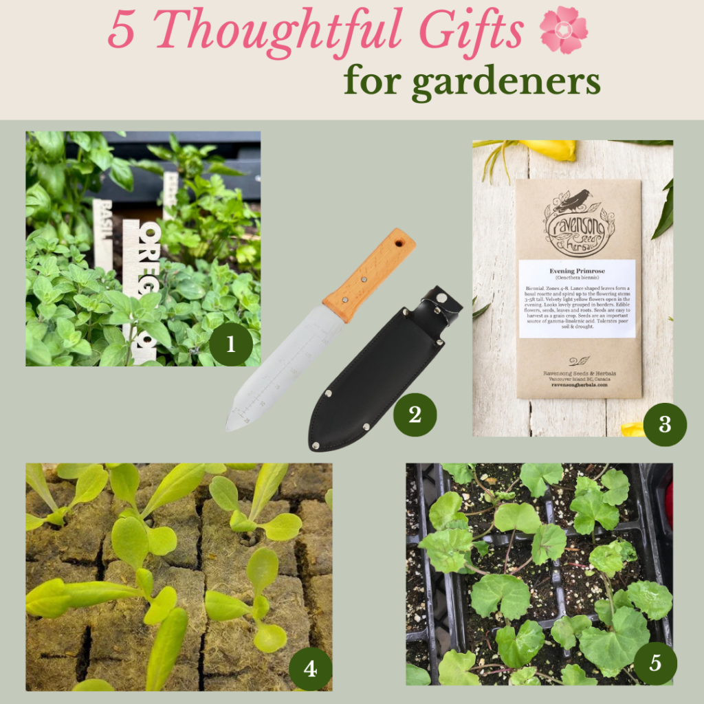 5 Thoughtful Gifts for Gardeners: Gift Guide for Herbalists: featuring an array of herbalist gifts like gardening tools, herbal books, mushroom cultivation kits, botanical jewelry, and foraging guides, all artistically arranged to represent the essence of herbalism