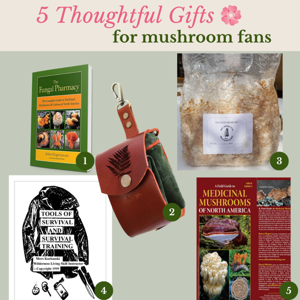 5 Thoughtful Gifts for Mushroom Fans: Gift Guide for Herbalists: featuring an array of herbalist gifts like gardening tools, herbal books, mushroom cultivation kits, botanical jewelry, and foraging guides, all artistically arranged to represent the essence of herbalism.