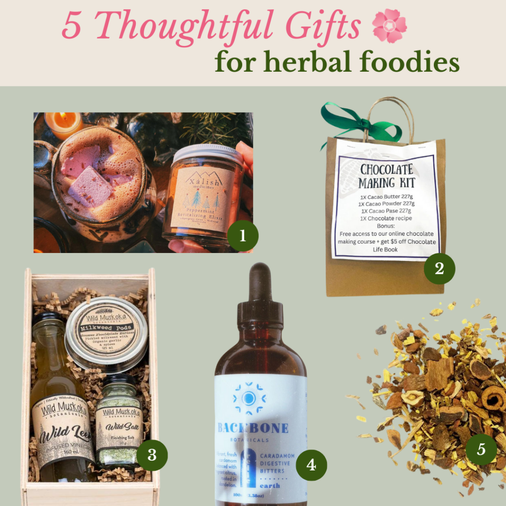 5 Thoughtful Gifts for Herbal Foodies: Gift Guide for Herbalists,' featuring an array of herbalist gifts like gardening tools, herbal books, mushroom cultivation kits, botanical jewelry, and foraging guides, all artistically arranged to represent the essence of herbalism