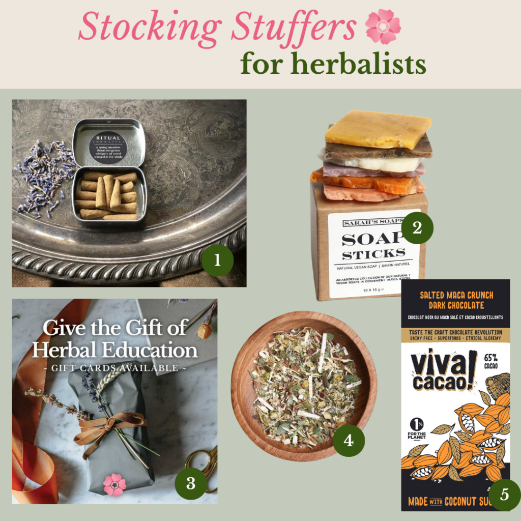 5 Stocking Stuffers for Herbalists: Gift Guide for Herbalists,' featuring an array of herbalist gifts like gardening tools, herbal books, mushroom cultivation kits, botanical jewelry, and foraging guides, all artistically arranged to represent the essence of herbalism