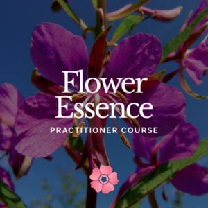 Flower Essence Practitioner