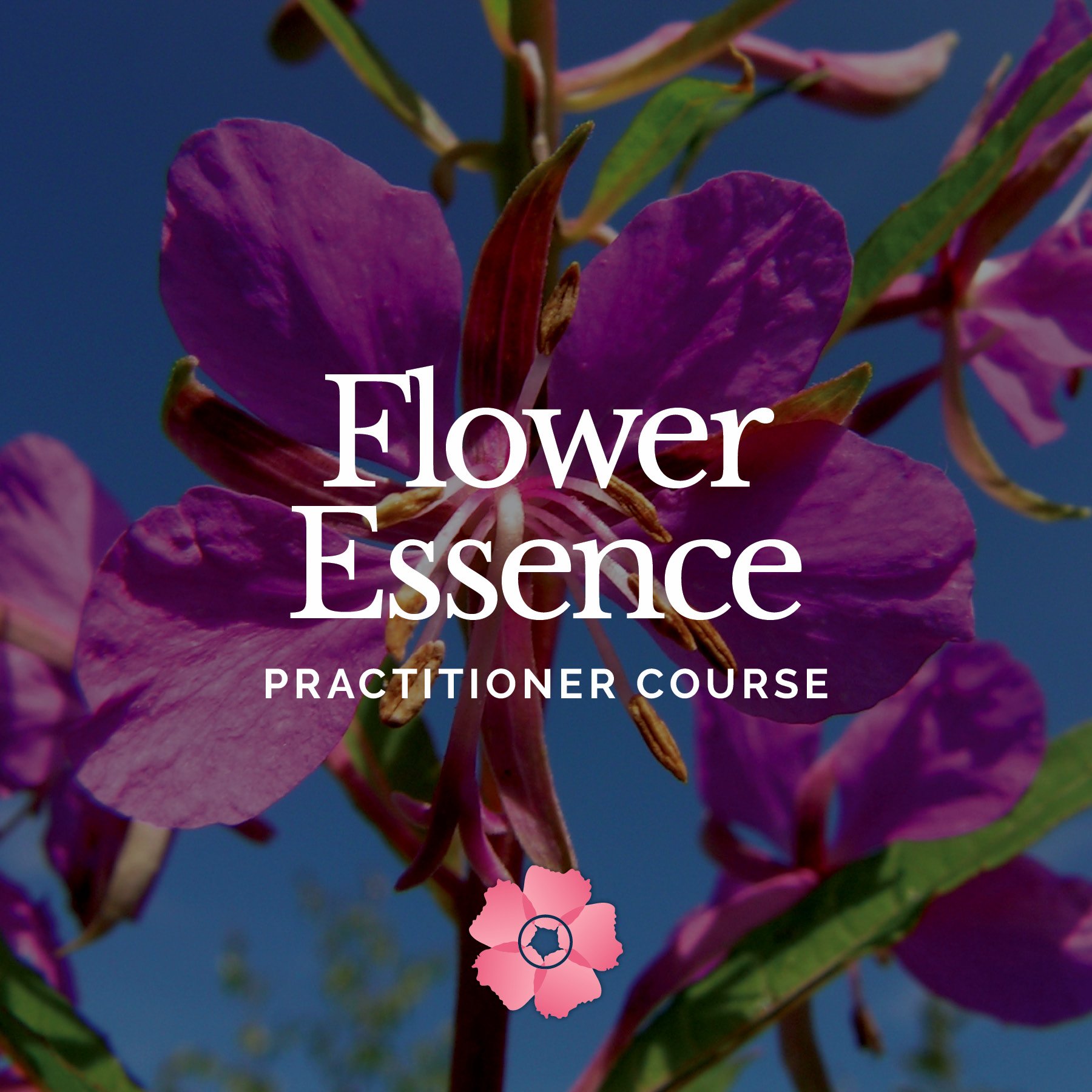 FE Covers - 1 - Course