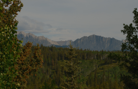 September 2026 Blog (1)