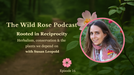 Susan Leopold You Tube Podcast Graphic
