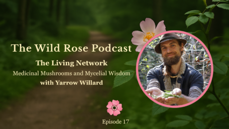 Yarrow Mushroom You Tube Podcast Graphic (1)